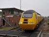 43062