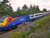 43064
