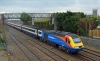 43076