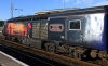 43172