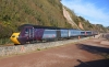 43303