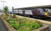 43303