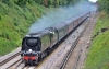 34067