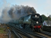 34067