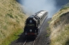 35028