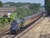 60019