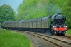 60103