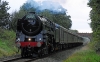 70013