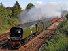 34067