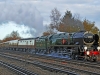 35017