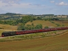46115