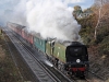 34067