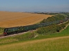 34067