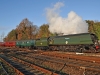 34067