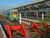 456005