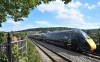 800005