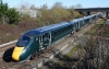 800033