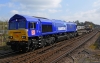 66005