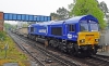 66005