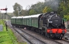 31806