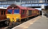 66003