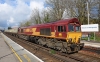 66007
